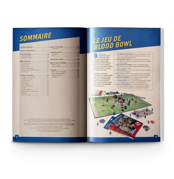 Games Workshop Blood Bowl – Les Règles Officielles 2 Games Workshop Blood Bowl – Les Règles Officielles – Image 2