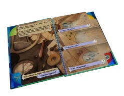 Ma Première Aventure – La Découverte De L’Atlantide -Les Des masKes Ma Premiere Aventure La Decouverte de lAtlantide Vue jeu 2