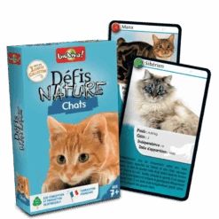 Défis Nature : Chats