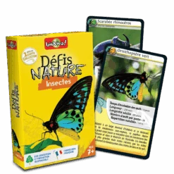 Défis Nature : Insectes